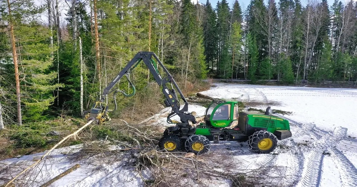 Logging machine cutting trees causing deforestation