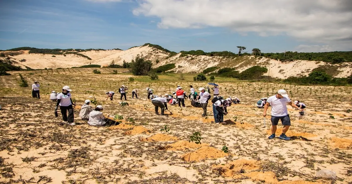 People planting saplings in degraded land showing afforestation and forest restoration efforts