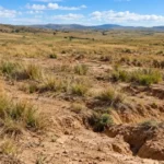 Degraded grassland with sparse vegetation and exposed, eroded soil